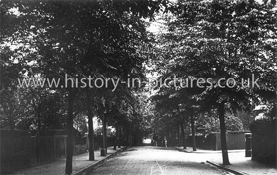 Upper Walthamstow Road, Walthamstow, London. c.1910's